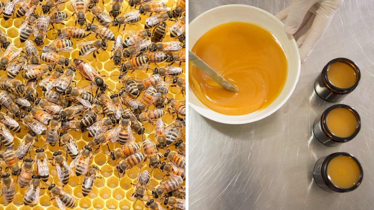 Does Beeswax Clog Pores? We Investigate for You!